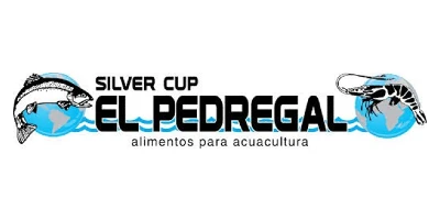 el pedregal