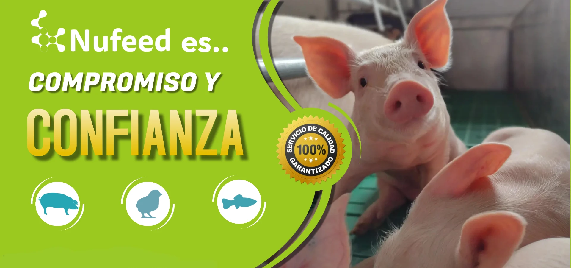 Confianza nufeed